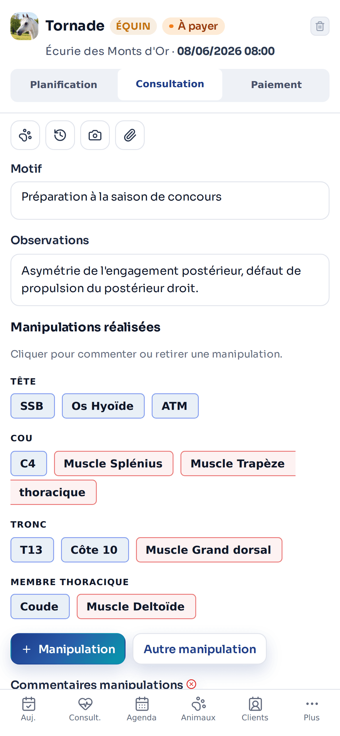 La saisie clinique AniMoov sur téléphone