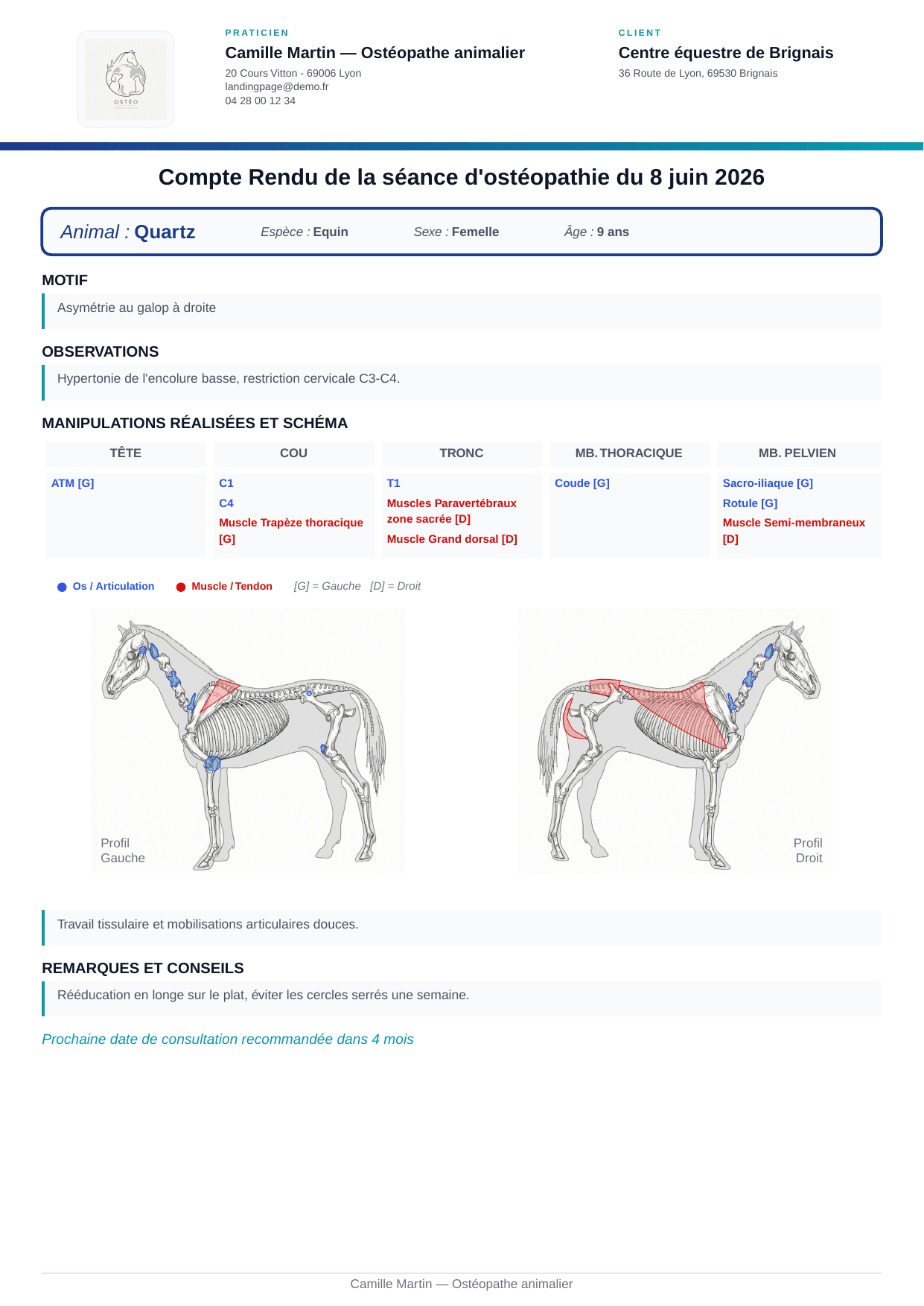 Compte rendu équin AniMoov avec observations et schémas anatomiques annotés